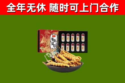 儋州回收冬虫夏草价格
